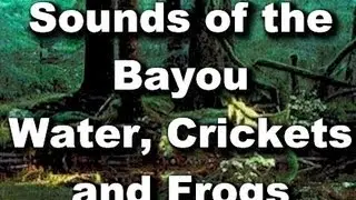 Relaxation Sounds : Blue Bayou - Crickets, Frogs and Bugs