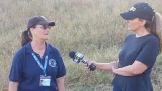 Jonsie being interviewed about coyote rescue!