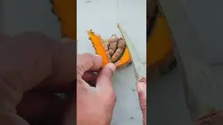 Village fruit cutting vedio #cuttingart #satisfying #food #fruitcutting #redefiningcutting #fruitch