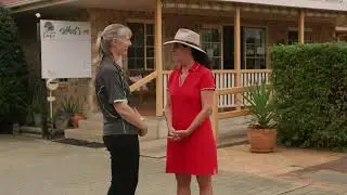 Introducing Mundubbera, Queensland's Citrus Capital