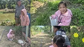 GIA ĐÌNH THẢ THÊM VỊT XIÊM GÀ ÁC CHO KHU VƯỜN, BÍ RỢ ĐÃ RA HOA KẾT TRÁI. T391
