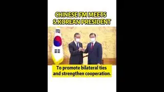 Chinese FM Wang Yi meets S. Korean President Moon Jae-in#Shorts