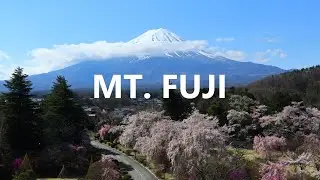 Incredible views of Mt. Fuji from this Hotel