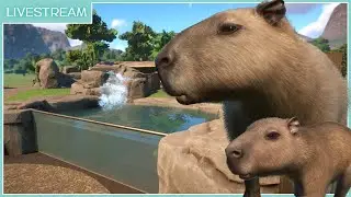 Let's Build.. But Chat Decides What! | Planet Zoo Livestream