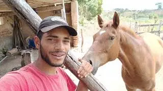Dia de muito trabalho na roça junto dessa turma topada. Deus abençoe todos vocês 🙌🙏
