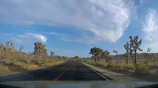 Joshua Tree National Park In & Around Drive
