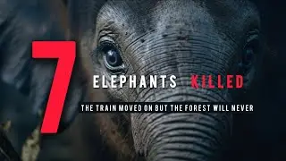 7 Elephants Killed in Assam | Rajdhani Express Accident | Hojai Wildlife Tragedy | EduDas Nexus