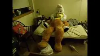 A Teddy Bear, A Fluffy Bunny