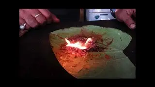 Delhi Best Paan Shop Odeon Paan in Connaught Place | Fire Paan At Odeon Thakur Connaught Place Delhi