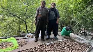 The inspiring story of an old man and his wife_Simple life in a forest hut with simple cooking