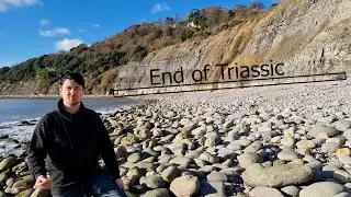 Geology of Pinhay bay
