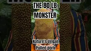 The 80lb 