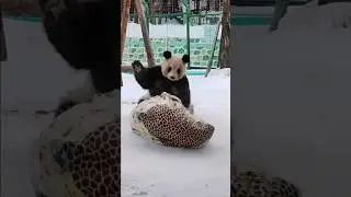 Красота спасает мир#красивые видео#Beauty saves the world#beautiful videos