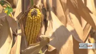 Fire Departments asking farmers for help during drought