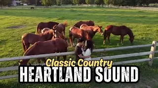 Timeless Prairie Dreams – Honest, Sweet & Pure Comforting Acoustic Guitar for the Soul