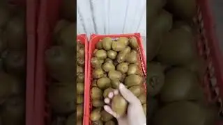Stone like Hard iran kiwi supplying worldwide #indian #iranian #kiwifruit #freshfruits #indopersian