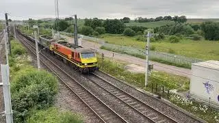 Freightliner. 90041 and 90014 &ldquo;Over the Rainbow.&rdquo; 🍏🍊