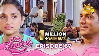 Paata Kurullo - පාට කුරුල්ලෝ | Episode 67 | 2024-08-12 | Hiru TV