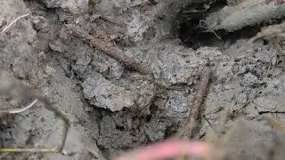 Dry Season Unique Eel Fish Catching । 😱 Big Eel Fish Catching