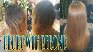 Rebond with Color | Восстановление цвета | Chading