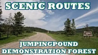 SCENIC ROUTES ║ JUMPINGPOUND DEMONSTRATION FOREST ║ NORTH & SOUTH LOOP