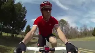 Castelli Ergo Tre Bib Shorts