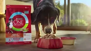 NEW PURINA ONE&reg; Dry Dog Food. Advanced tailored nutrition for dogs.