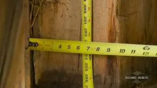 Reclaimed Unlimited | Bass Road | 1880s Hand-Hewn Wide Oak Timber Frame