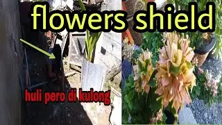 FLOWERS SHIELD INSTALLATION