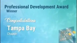 20251120 Tampa Bay IIBA Annual General Meeting Chapter Awards
