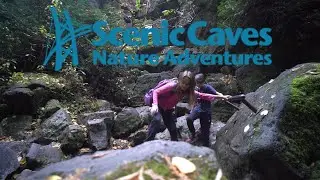 Scenic Caves - Cinematic tour of caves and bridge at Blue Mountain Scenic Caves