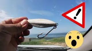 pesca de gallo || increíble señuelo