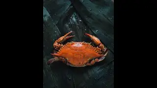 Magick with crab shells