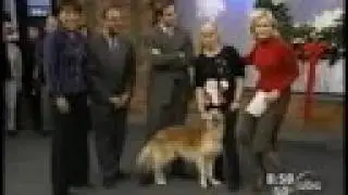 Carolyn Scott & Golden Rookie: A 15 Year Partnership