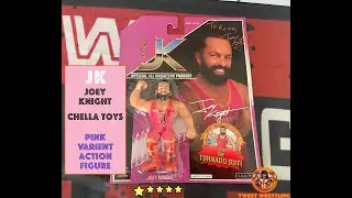 JK Joey Night (All-Knighters) Chella Toys Wrestling Action Figure WWE