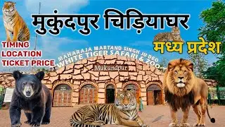 मुकुंदपुर चिड़ियाघर white tiger safari Mukundpur rewa || Mukundpur & ZOO || Mukundpur zoo #mp #vlog