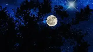 moon and stars in the night background video