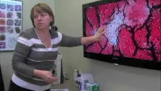 Amega Energy Wand Live Blood Analysis Research - Zero Point Energy Review