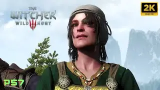 THE WITCHER 3: Wild Hunt - The Heroes' Pursuits: Fayrlund. Part 57. Side Quest [2K 60FPS PC]