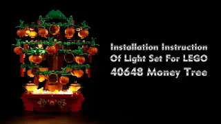 Installation Instruction Of Light Set For LEGO 40648 Money Tree.