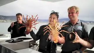 Tasmanian Wild Seafood Adventures