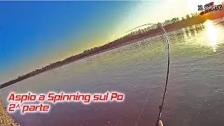 Aspio a Spinning sul Po - dagli albori ai giorni nostri  2^ parte -  Asp Spinning at Po river