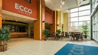 ECCO suites review