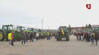Campo Palentino (15-2-2024)