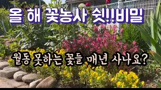 매년 꼭!샀던 꽃들 이젠 안사도 됩니다