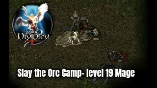 Divine Divinity✨Slaying the Orc Camps- Level 19 Mage