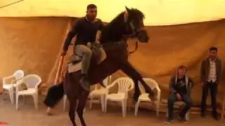 Köroğlu  Oyunu At'la