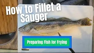 How to Fillet Sauger|| Preparing fish for Frying