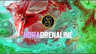 2026.1.6 Sanctified Livestream Recording - House (Electro, Melodic, Tech, Pop), DnB