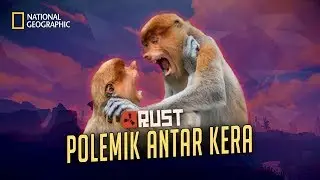 RUST Indonesia - Polemik Antar Kera